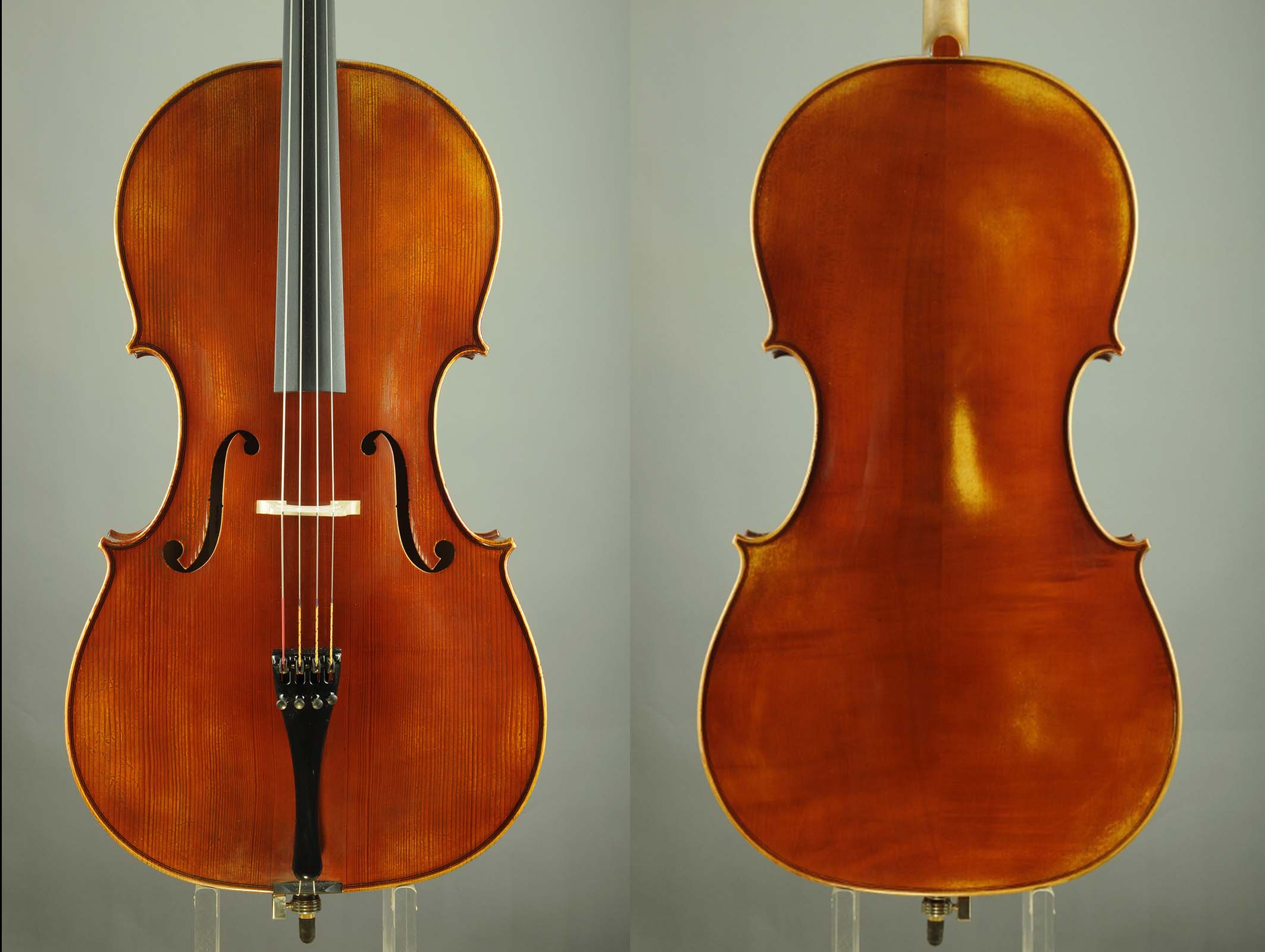 Cello Model 3